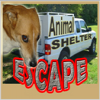 Animal Shelter-Escape